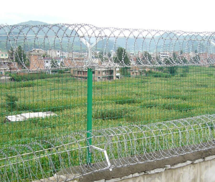 Coils Razor Wire on Top of Welded Mesh Fence